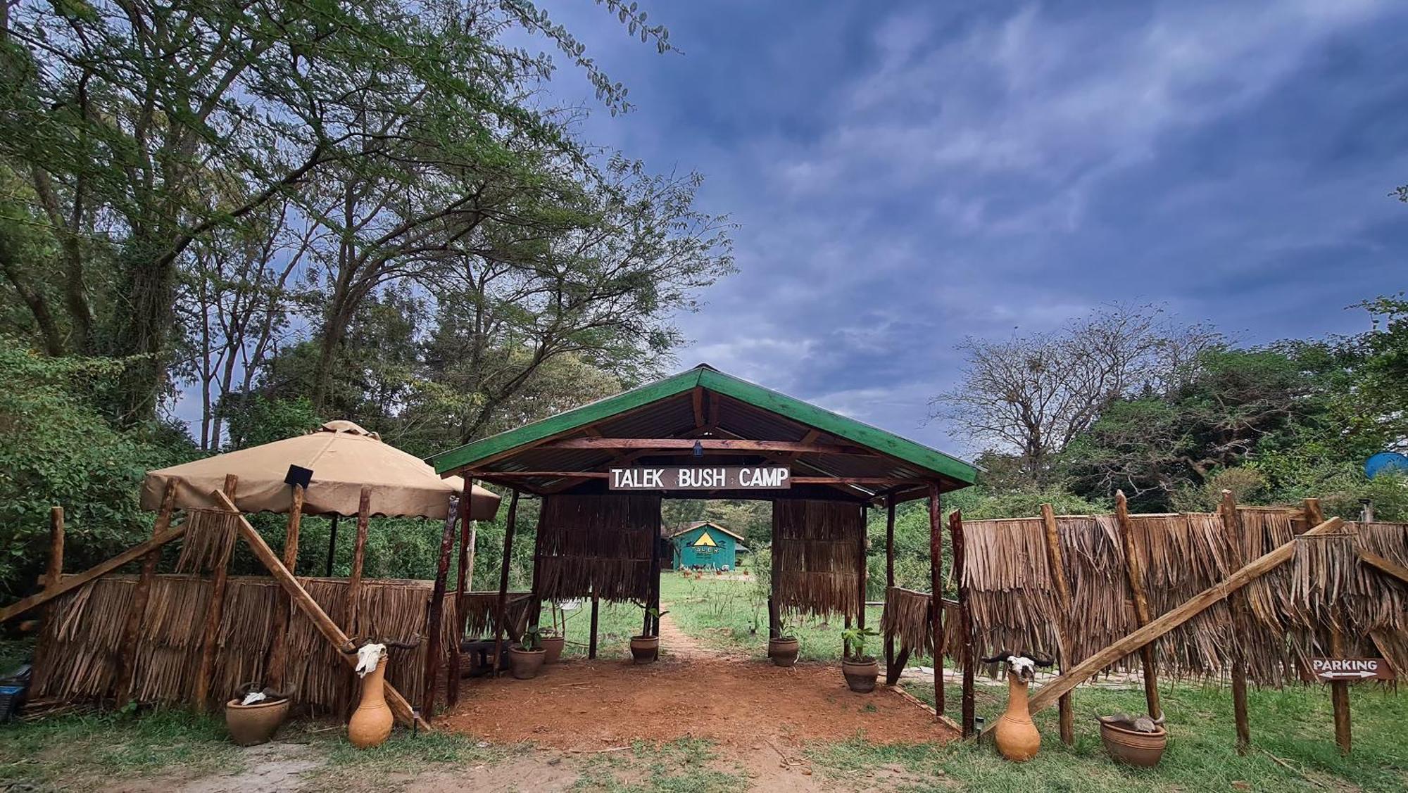 Talek Bush Camp , Masai Mara Hotel Екстериор снимка