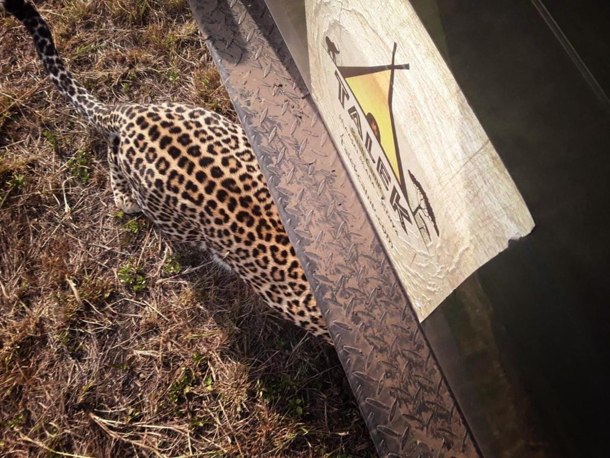 Talek Bush Camp , Masai Mara Hotel Екстериор снимка